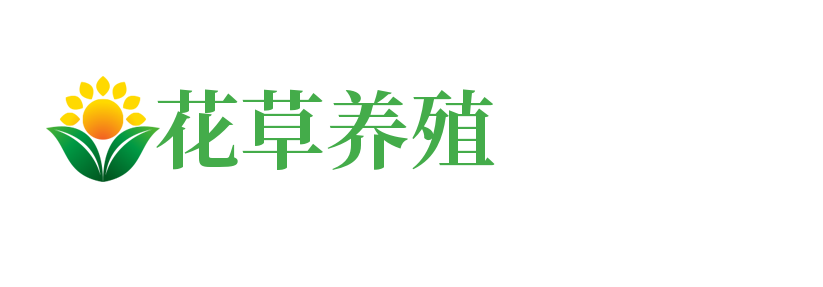 河北省石家庄市栾城区真货移动电话股份有限公司